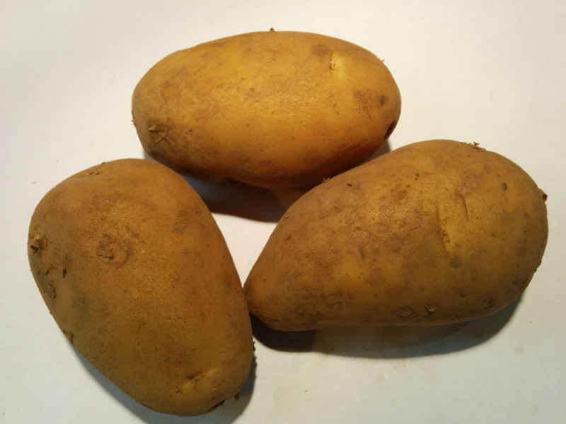 Charlotte Seed Potatoes (20 tubers)